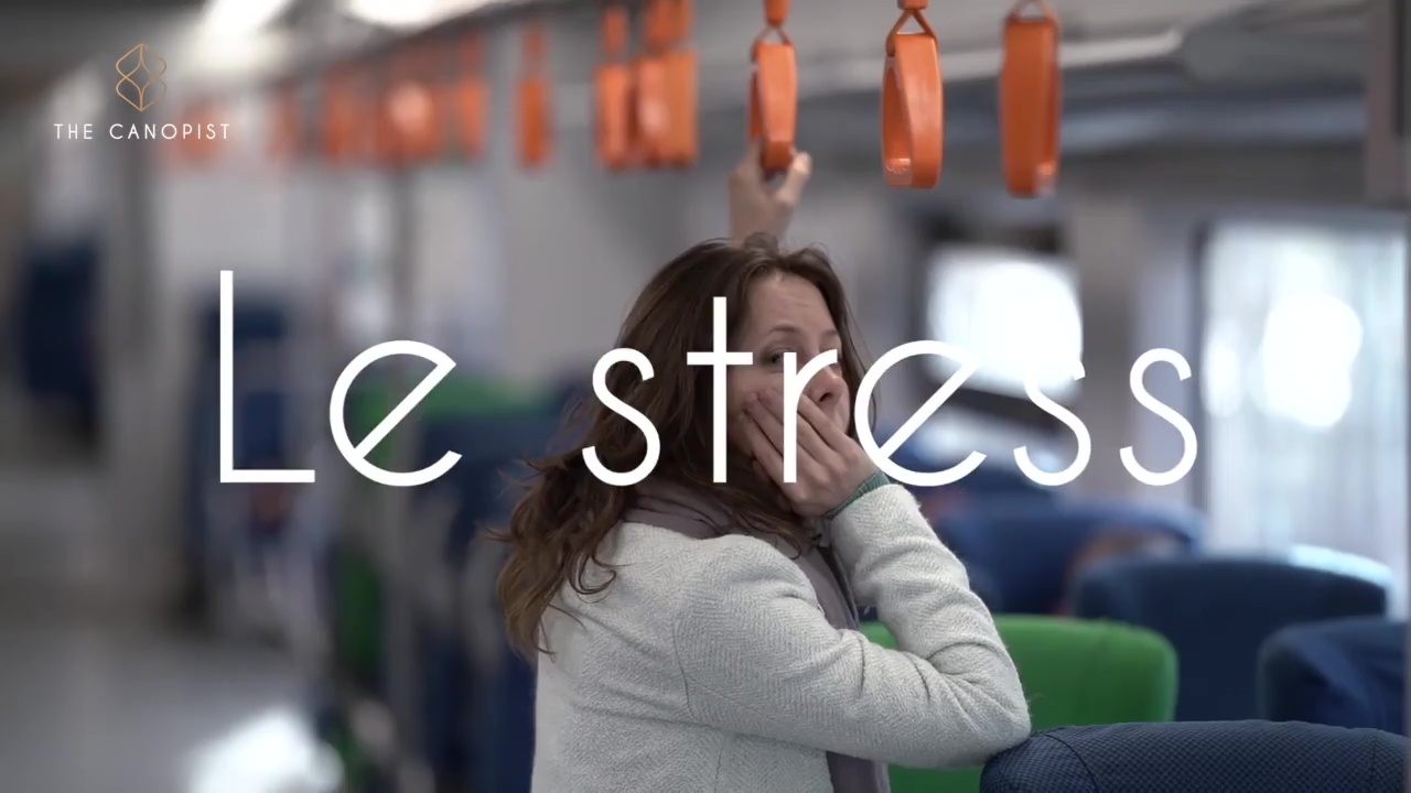 Le stress au quotidien